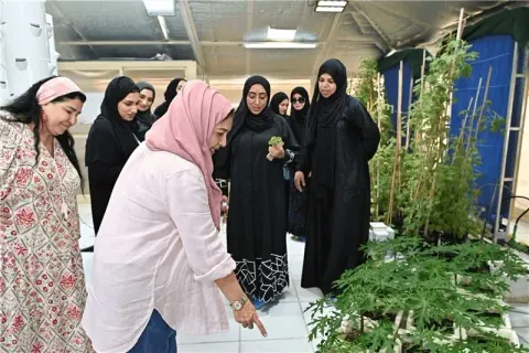 زيارة مزرعة ماما