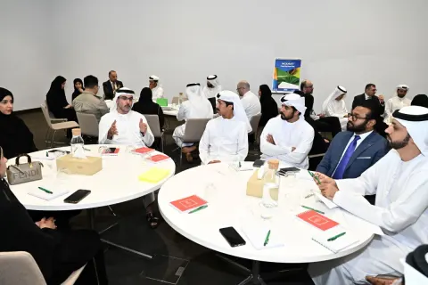 A Retreat session on the Mineral Wealth Strategy in the UAE