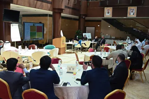 "Future of Mineral Wealth in the UAE" Brainstorming session