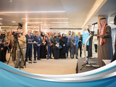 مجلس المنظمة البحرية الدولية