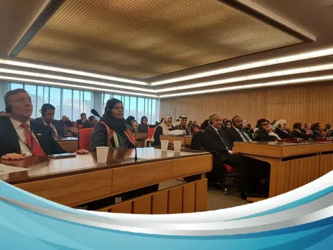 مجلس المنظمة البحرية الدولية